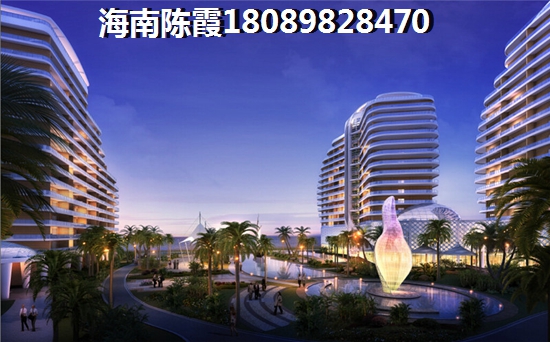 海南醉便宜的房子